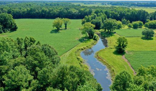 Photo #5 of SOLD property in 311 Yellow Hammer Road, Tyner, NC 74.0 acres