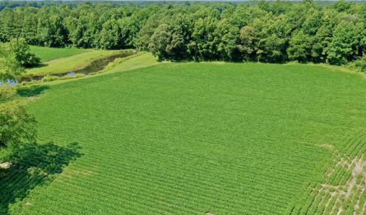 Photo #6 of SOLD property in 311 Yellow Hammer Road, Tyner, NC 74.0 acres