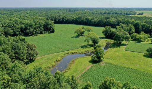 Photo #7 of SOLD property in 311 Yellow Hammer Road, Tyner, NC 74.0 acres