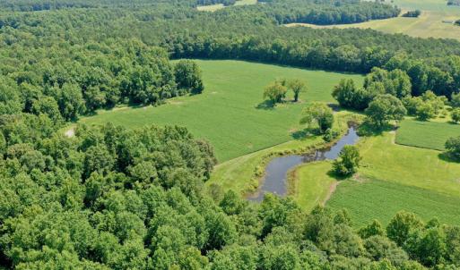 Photo #9 of SOLD property in 311 Yellow Hammer Road, Tyner, NC 74.0 acres