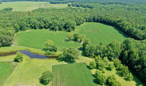 Photo #10 of SOLD property in 311 Yellow Hammer Road, Tyner, NC 74.0 acres
