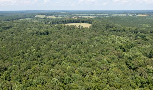 Photo #9 of SOLD property in Off Mt Carmel Road, Carthage, NC 6.3 acres