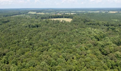 Photo #9 of SOLD property in Off Mt Carmel Road, Carthage, NC 6.3 acres