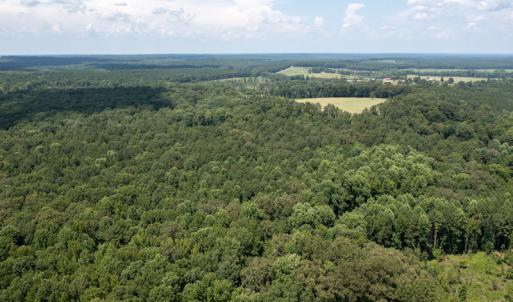 Photo #10 of SOLD property in Off Mt Carmel Road, Carthage, NC 6.3 acres