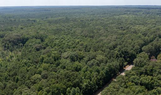 Photo #12 of SOLD property in Off Mt Carmel Road, Carthage, NC 6.3 acres