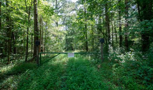 Photo #21 of SOLD property in Off Mt Carmel Road, Carthage, NC 6.3 acres