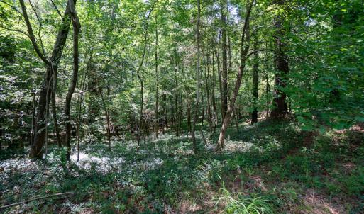Photo #22 of SOLD property in Off Mt Carmel Road, Carthage, NC 6.3 acres