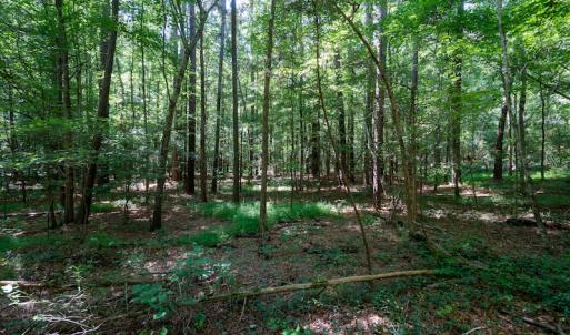 Photo #23 of SOLD property in Off Mt Carmel Road, Carthage, NC 6.3 acres