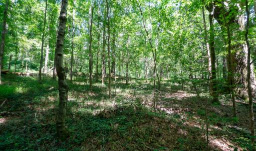 Photo #24 of SOLD property in Off Mt Carmel Road, Carthage, NC 6.3 acres