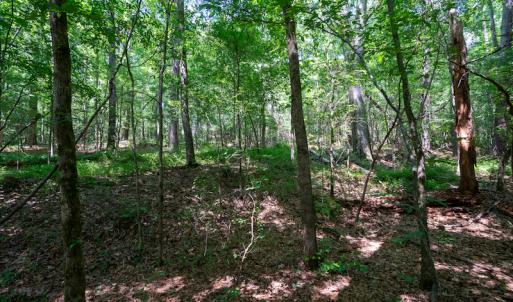 Photo #25 of SOLD property in Off Mt Carmel Road, Carthage, NC 6.3 acres