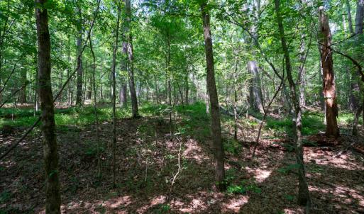 Photo #25 of SOLD property in Off Mt Carmel Road, Carthage, NC 6.3 acres