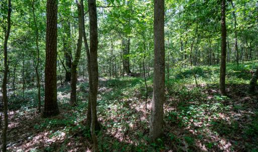 Photo #26 of SOLD property in Off Mt Carmel Road, Carthage, NC 6.3 acres