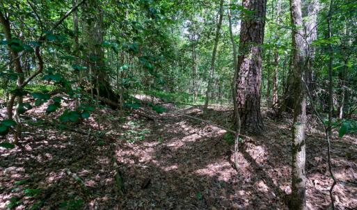 Photo #27 of SOLD property in Off Mt Carmel Road, Carthage, NC 6.3 acres