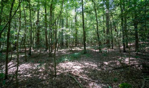 Photo #28 of SOLD property in Off Mt Carmel Road, Carthage, NC 6.3 acres