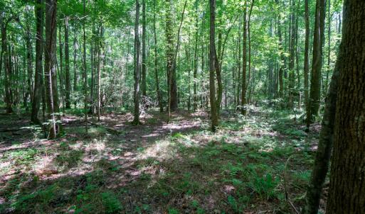 Photo #29 of SOLD property in Off Mt Carmel Road, Carthage, NC 6.3 acres