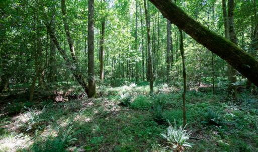 Photo #30 of SOLD property in Off Mt Carmel Road, Carthage, NC 6.3 acres