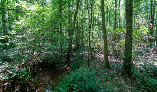 Photo #31 of SOLD property in Off Mt Carmel Road, Carthage, NC 6.3 acres