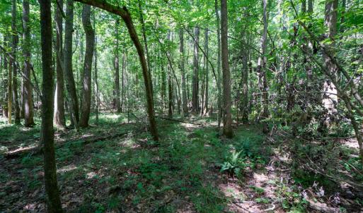 Photo #32 of SOLD property in Off Mt Carmel Road, Carthage, NC 6.3 acres