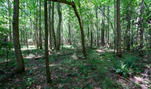 Photo #33 of SOLD property in Off Mt Carmel Road, Carthage, NC 6.3 acres