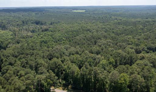 Photo #3 of SOLD property in Off Mt Carmel Road, Carthage, NC 6.3 acres