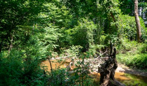 Photo #38 of SOLD property in Off Mt Carmel Road, Carthage, NC 6.3 acres