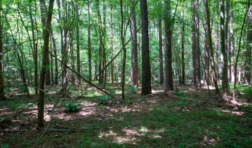 Photo #39 of SOLD property in Off Mt Carmel Road, Carthage, NC 6.3 acres