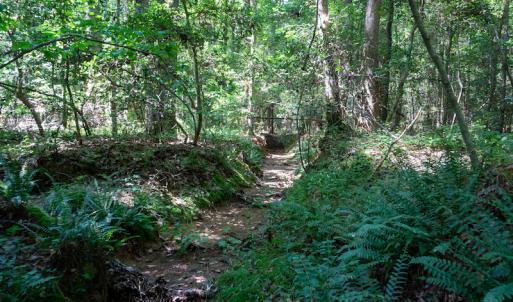 Photo #40 of SOLD property in Off Mt Carmel Road, Carthage, NC 6.3 acres
