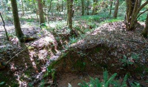 Photo #41 of SOLD property in Off Mt Carmel Road, Carthage, NC 6.3 acres