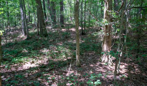 Photo #42 of SOLD property in Off Mt Carmel Road, Carthage, NC 6.3 acres