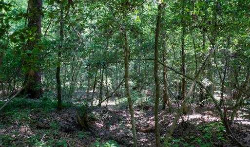 Photo #43 of SOLD property in Off Mt Carmel Road, Carthage, NC 6.3 acres