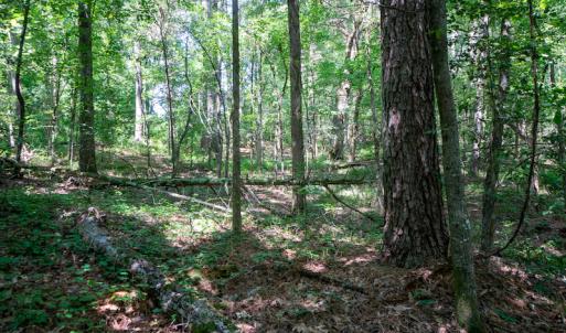Photo #44 of SOLD property in Off Mt Carmel Road, Carthage, NC 6.3 acres