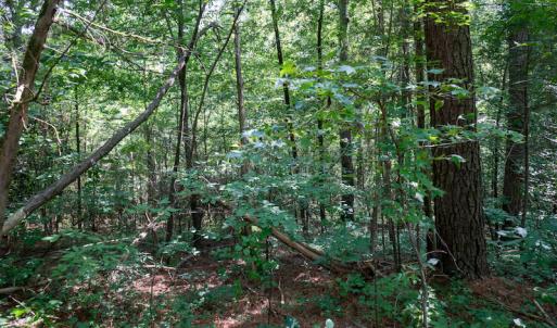 Photo #45 of SOLD property in Off Mt Carmel Road, Carthage, NC 6.3 acres