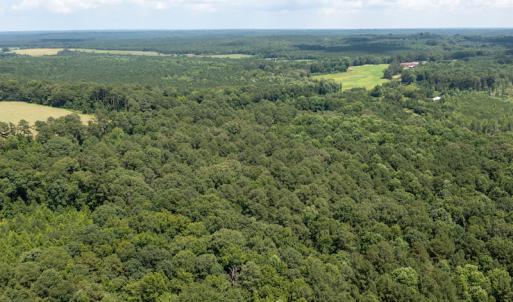 Photo #7 of SOLD property in Off Mt Carmel Road, Carthage, NC 6.3 acres