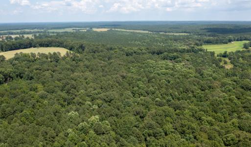 Photo #8 of SOLD property in Off Mt Carmel Road, Carthage, NC 6.3 acres