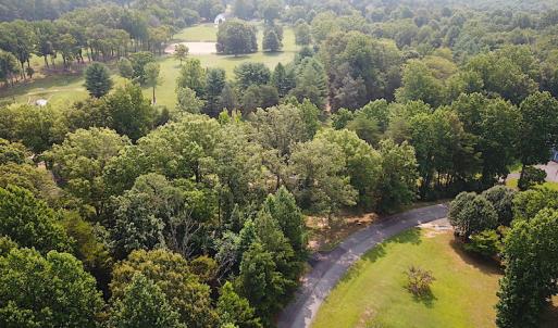 Photo #9 of SOLD property in Lot 69 Point Drive, Bumpass, VA 1.2 acres
