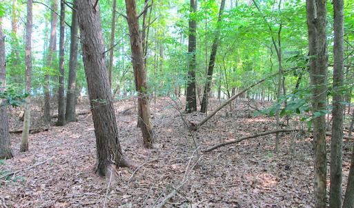 Photo #17 of SOLD property in Lot 69 Point Drive, Bumpass, VA 1.2 acres
