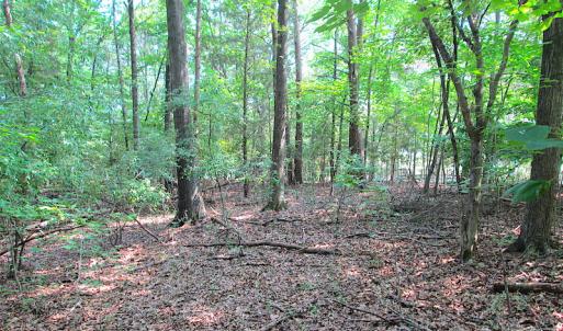 Photo #18 of SOLD property in Lot 69 Point Drive, Bumpass, VA 1.2 acres