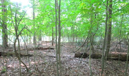 Photo #19 of SOLD property in Lot 69 Point Drive, Bumpass, VA 1.2 acres