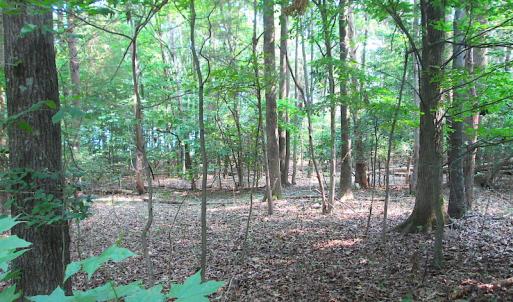 Photo #21 of SOLD property in Lot 69 Point Drive, Bumpass, VA 1.2 acres
