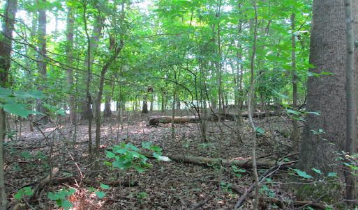 Photo #22 of SOLD property in Lot 69 Point Drive, Bumpass, VA 1.2 acres