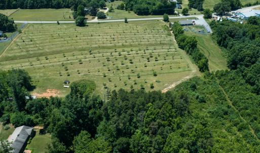 Photo #15 of Old NC Hwy 86N, Yanceyville, NC 32.1 acres