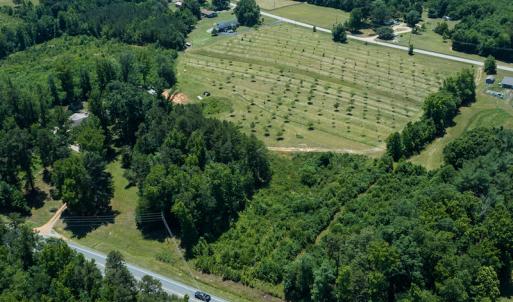 Photo #18 of Old NC Hwy 86N, Yanceyville, NC 32.1 acres