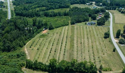 Photo #21 of Old NC Hwy 86N, Yanceyville, NC 32.1 acres