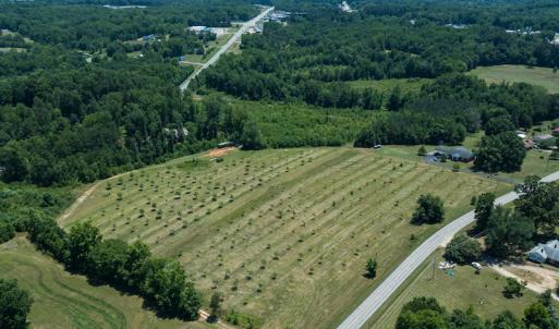 Photo #22 of Old NC Hwy 86N, Yanceyville, NC 32.1 acres