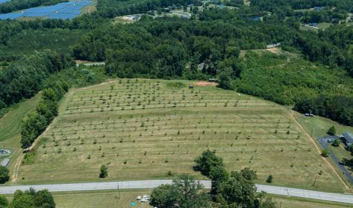 Photo #24 of Old NC Hwy 86N, Yanceyville, NC 32.1 acres