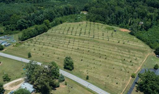 Photo #25 of Old NC Hwy 86N, Yanceyville, NC 32.1 acres