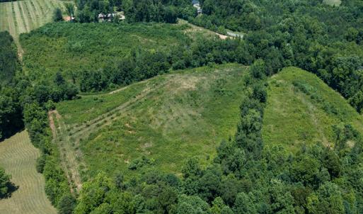 Photo #29 of Old NC Hwy 86N, Yanceyville, NC 32.1 acres