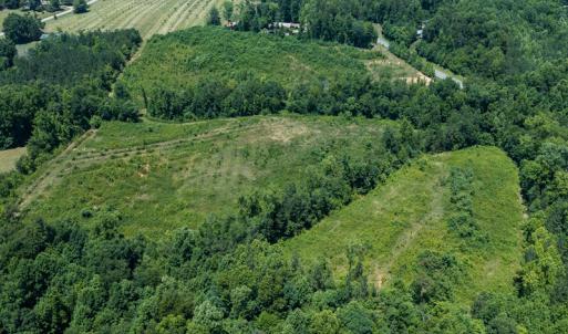 Photo #30 of Old NC Hwy 86N, Yanceyville, NC 32.1 acres