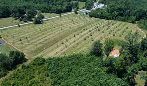 Photo #34 of Old NC Hwy 86N, Yanceyville, NC 32.1 acres