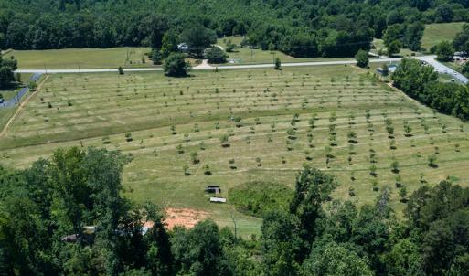 Photo #35 of Old NC Hwy 86N, Yanceyville, NC 32.1 acres